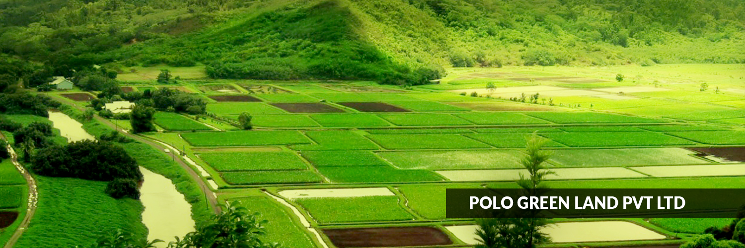 Polo Green Land Pvt Ltd (1)